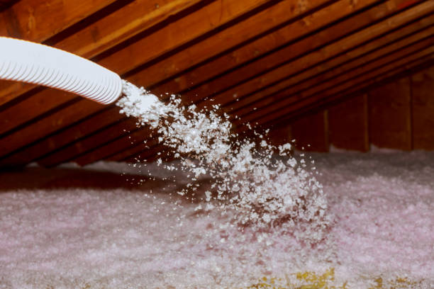 Best Spray Foam Insulation  in Oblong, IL