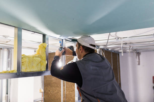 Best Affordable Insulation Services  in Oblong, IL