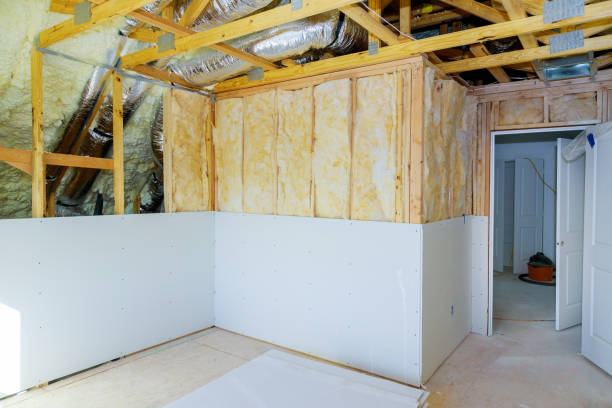 Best Insulation Removal  in Oblong, IL