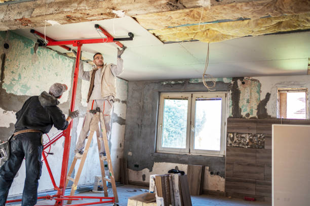 Best Insulation Contractor Near Me  in Oblong, IL