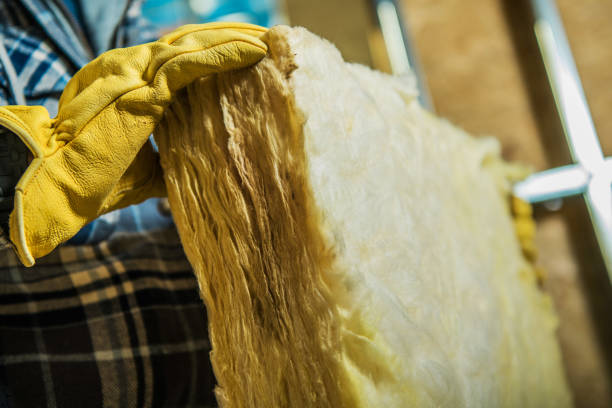 Best Spray Foam Insulation  in Oblong, IL