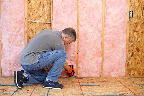 Best Best Insulation Companies  in Oblong, IL