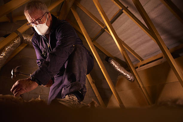 Best Insulation Installation Cost  in Oblong, IL