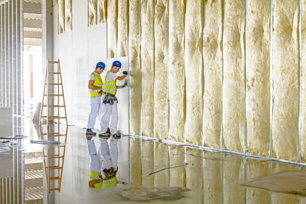 Best Insulation Inspection Services  in Oblong, IL